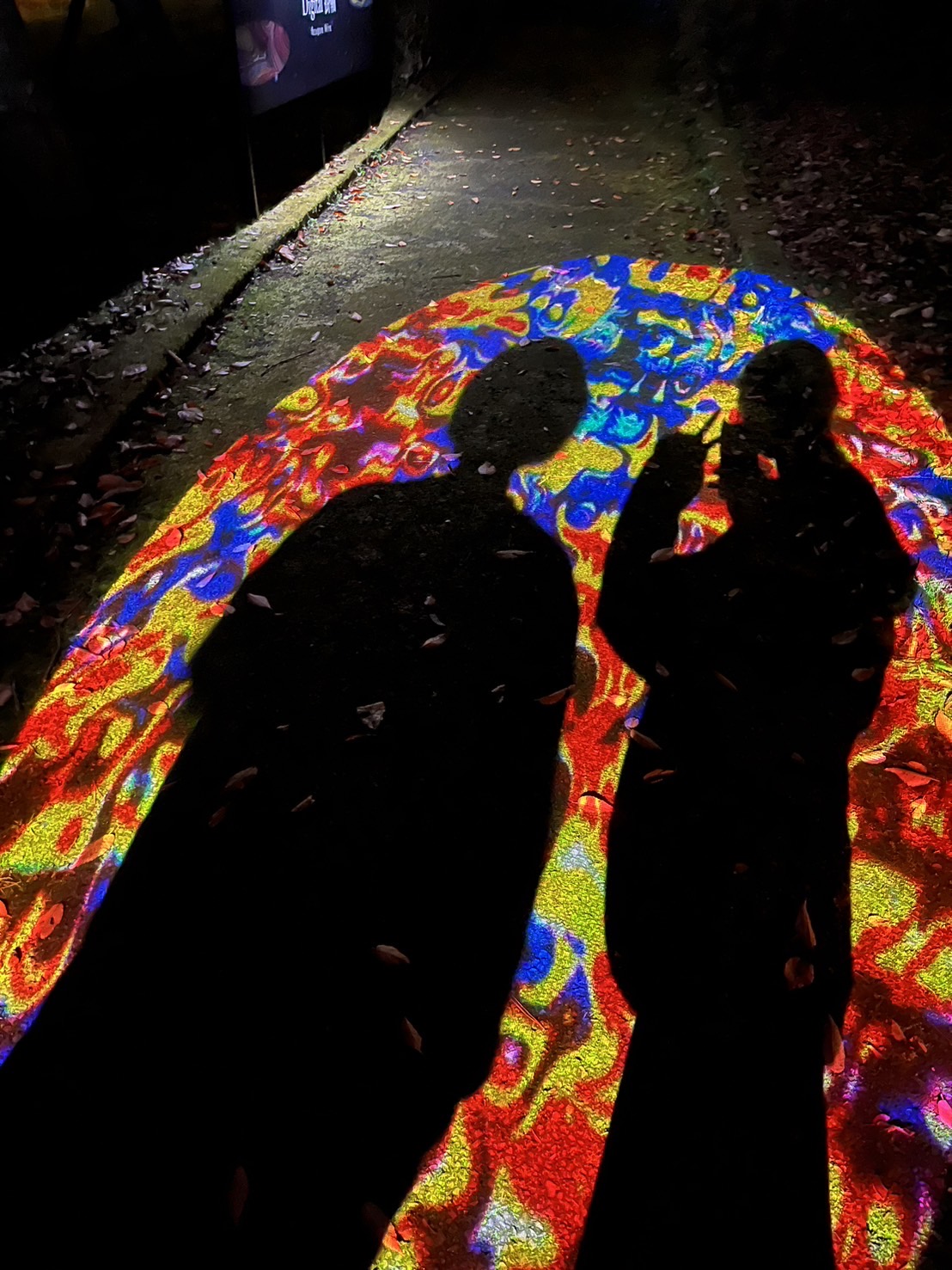 2024　夕焼けの渚紅葉祭り