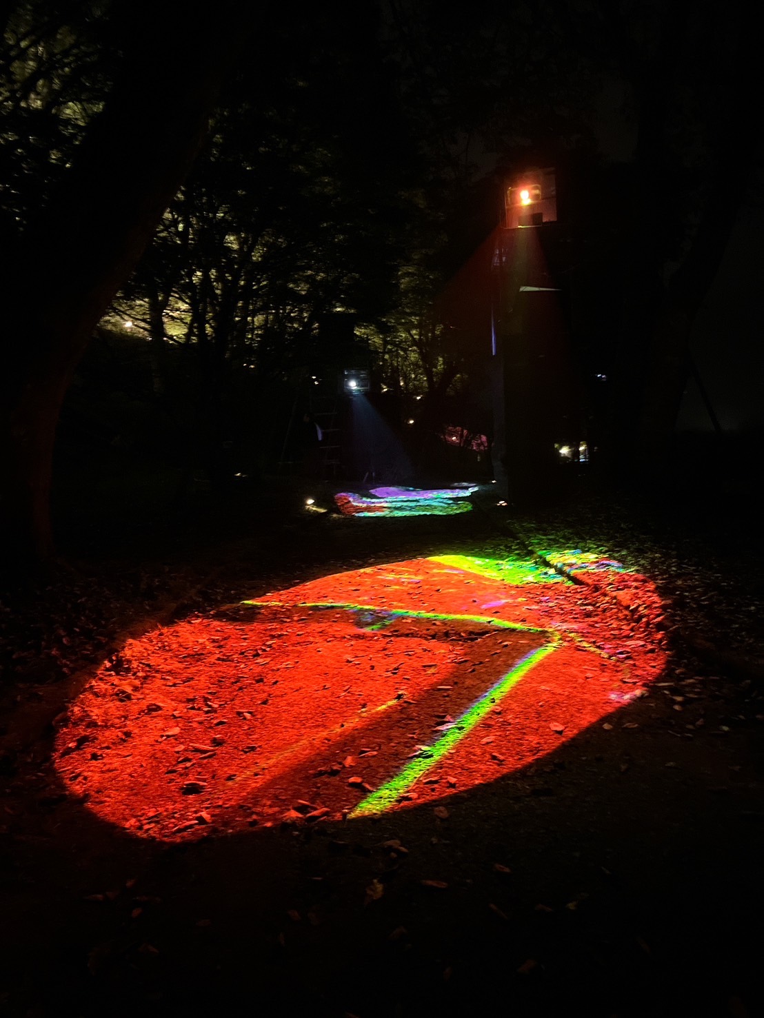 2024　夕焼けの渚紅葉祭り