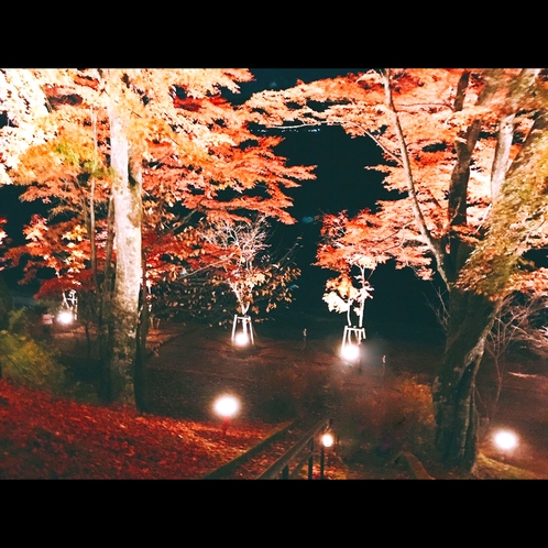 ◇紅葉まつり◇ライトアップされた紅葉を眺めながら、お散歩などいかがでしょうか
