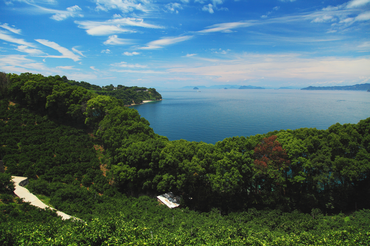 興居島からの眺望