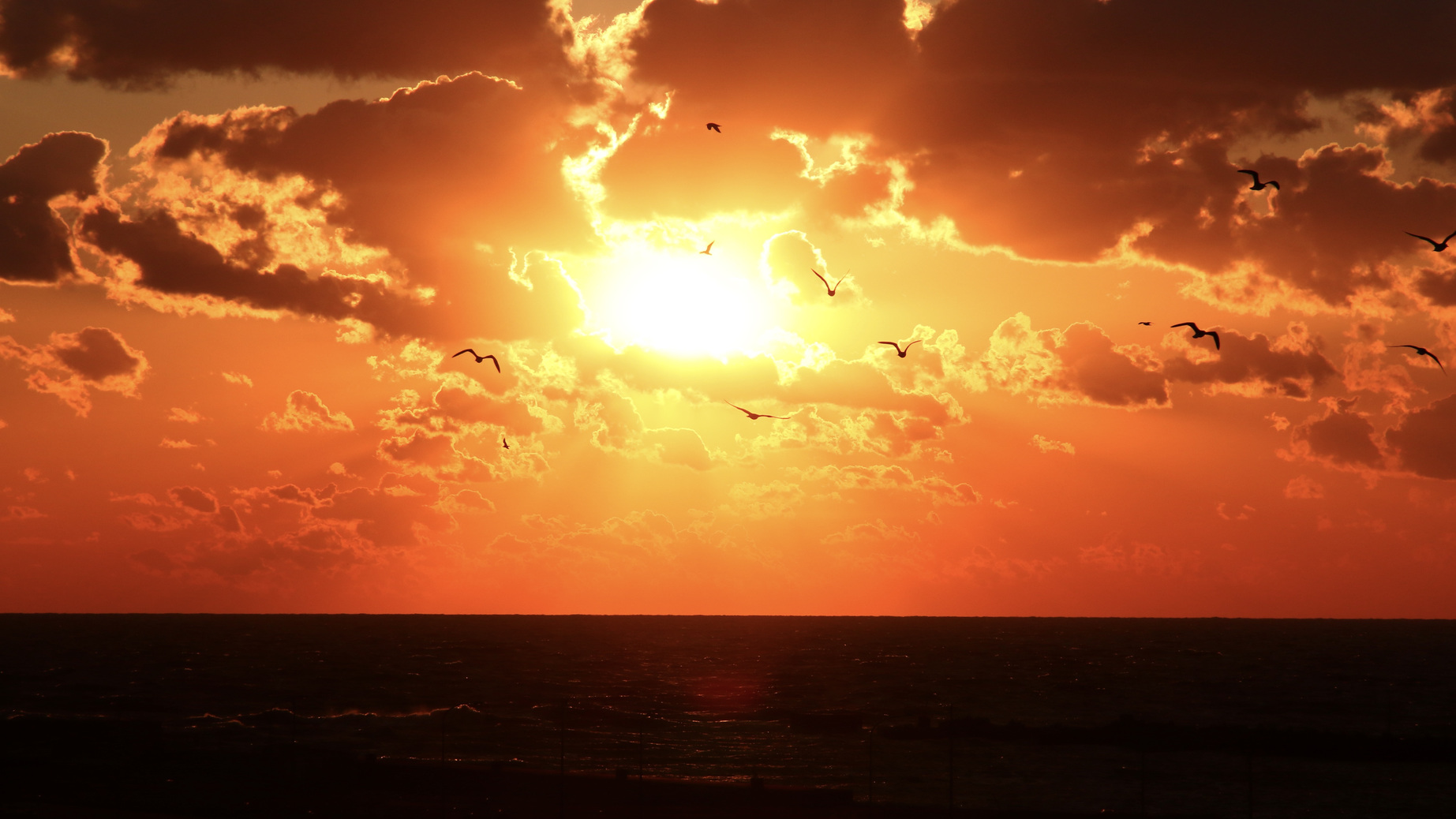 【海側の部屋確約】日本海に沈む絶景の夕映が見れます！北の幸の和朝食付き＜朝食付き＞