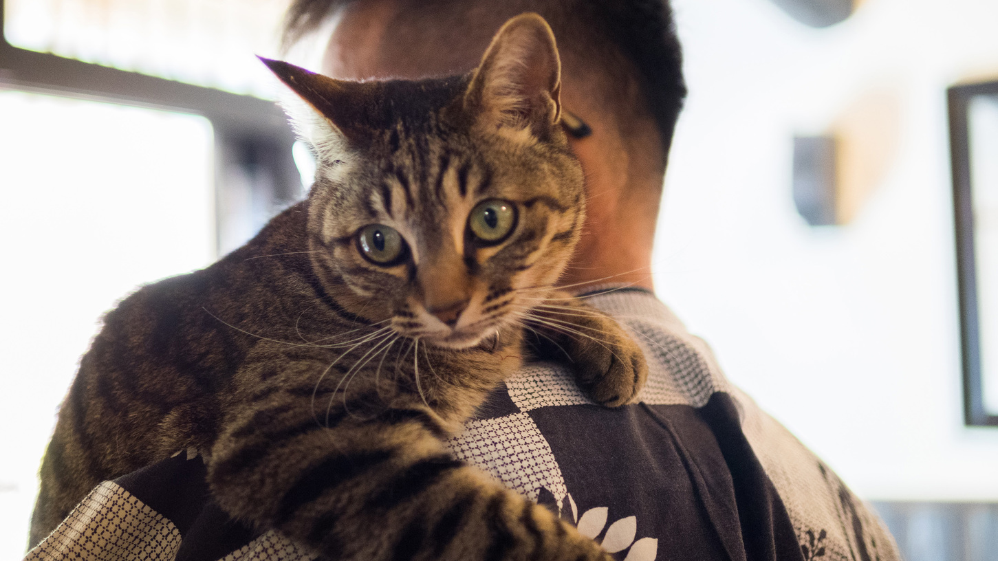 大人が過ごす由布院の休日♪１日の始まりに元気を！身体に優しい「朝食付きプラン」