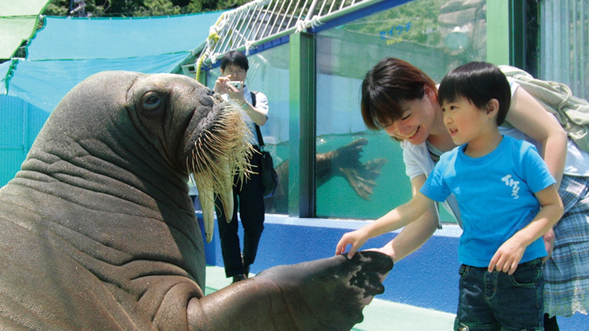 伊勢シーパラダイス（伊勢市駅より三重交通バスで約46分）