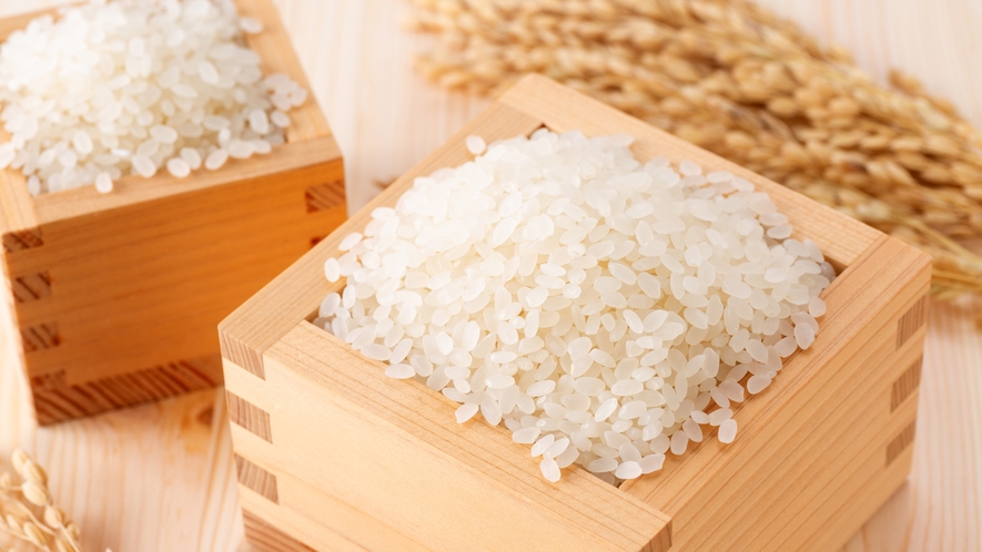 **お米：清い水で土壌が豊かな信州で育ったお米をお腹一杯お召し上がりください。