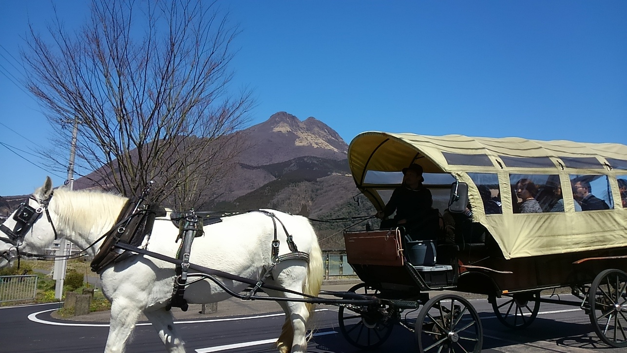 【ゴールデンウィーク】添い寝プラン4/27〜5/6　1部屋に大人2名＋添い寝1名（小学低学年以下）　