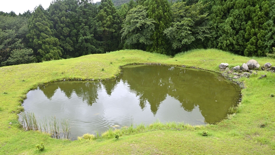 ◆山上館から見える池
