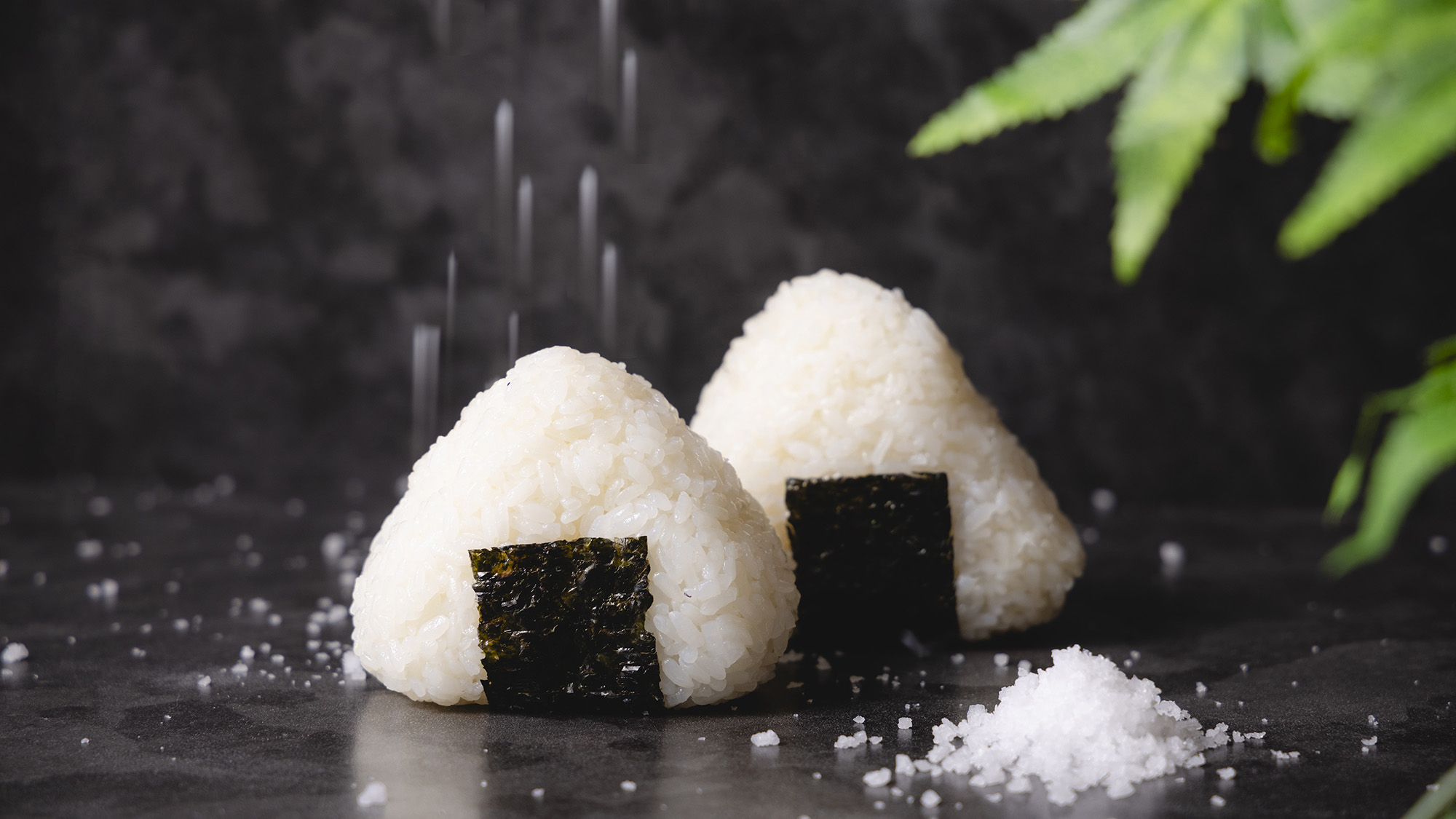小笠原自然海塩使用　塩むすび
