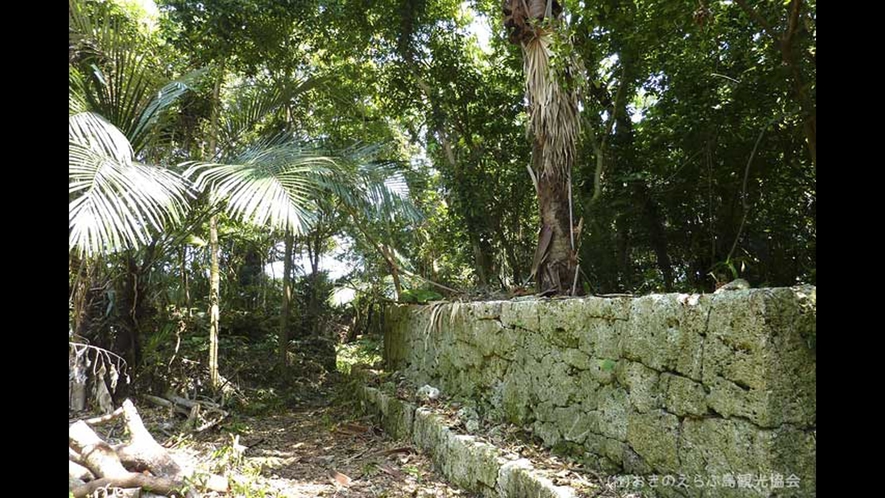 【周辺観光】「後蘭孫八城跡」　石垣や自然石や巨木が醸しだす世界は島のパワースポットのひとつです