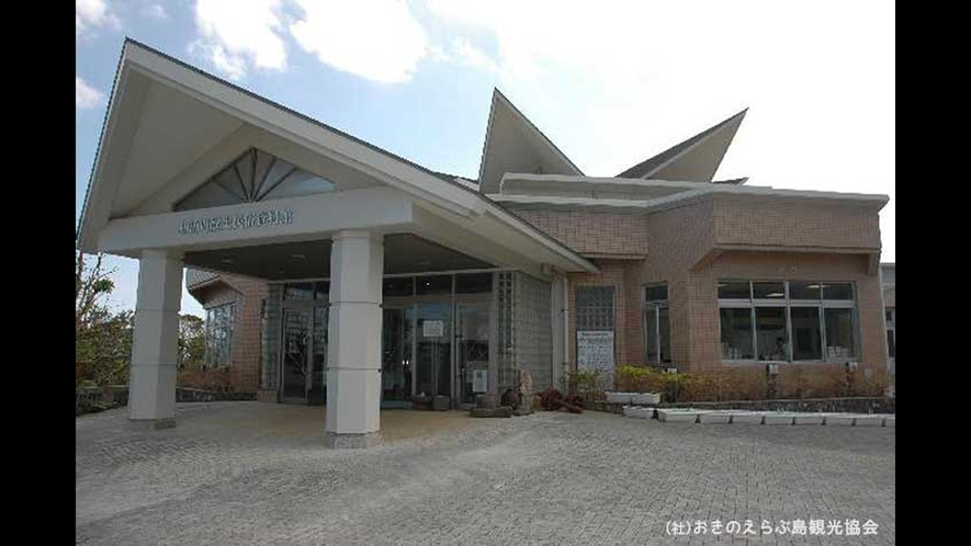 【周辺観光】「和泊町歴史民俗資料館」　郷土史好きならぜひ足をお運びください