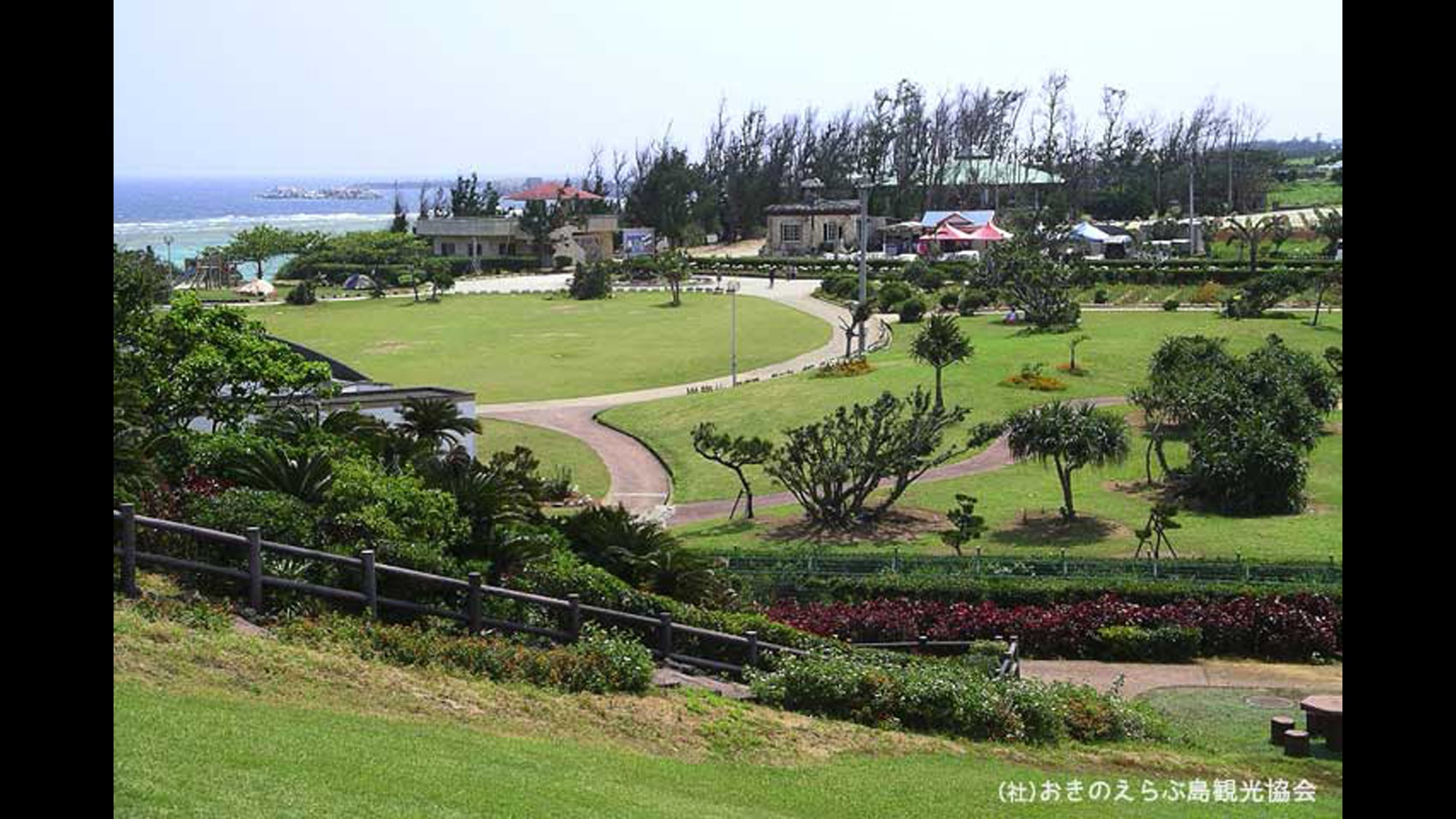 【周辺観光】「笠石海浜公園」　映画『エラブの海』のロケ地でもあります