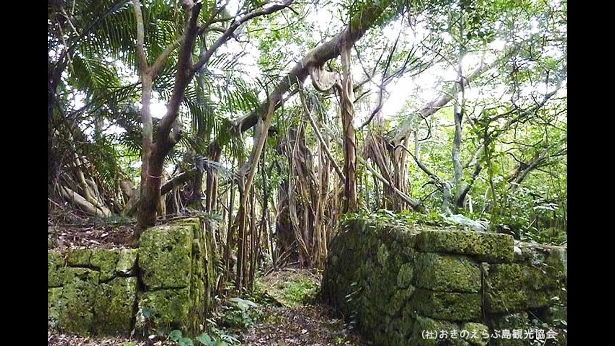 【周辺観光】「後蘭孫八城跡」　世之主に仕えた四天王の一人、後蘭孫八の城跡です