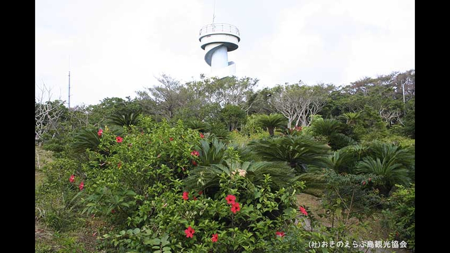 【周辺観光】「大山植物公園・展望台」　標高240ｍ近くにある展望台で島を一望できます.jpg