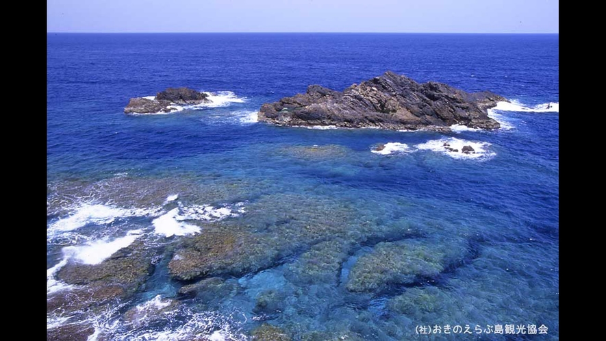 【周辺観光】「半崎」　沖合にある黒岩は戦時中軍艦に間違えられて爆撃を受けたとも言われています