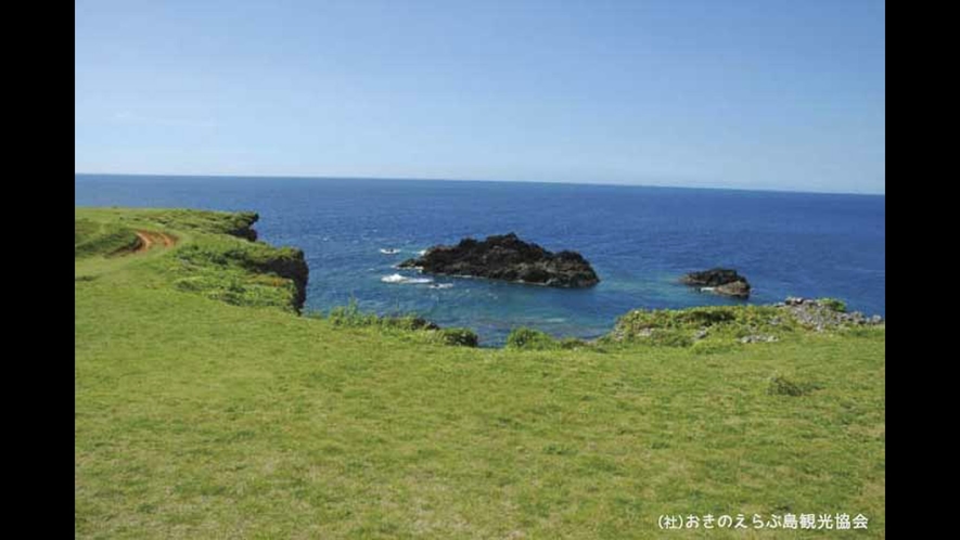 【周辺観光】「半崎」　島の真ん中北側の断崖絶壁の景勝地です