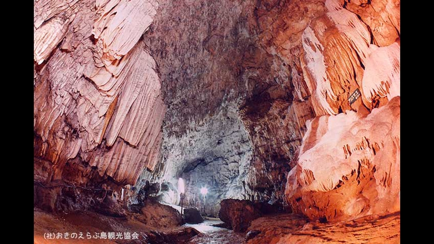 【周辺観光】「昇竜洞」　鍾乳石の発達が素晴らしく特にフローストーンは全国最大級です