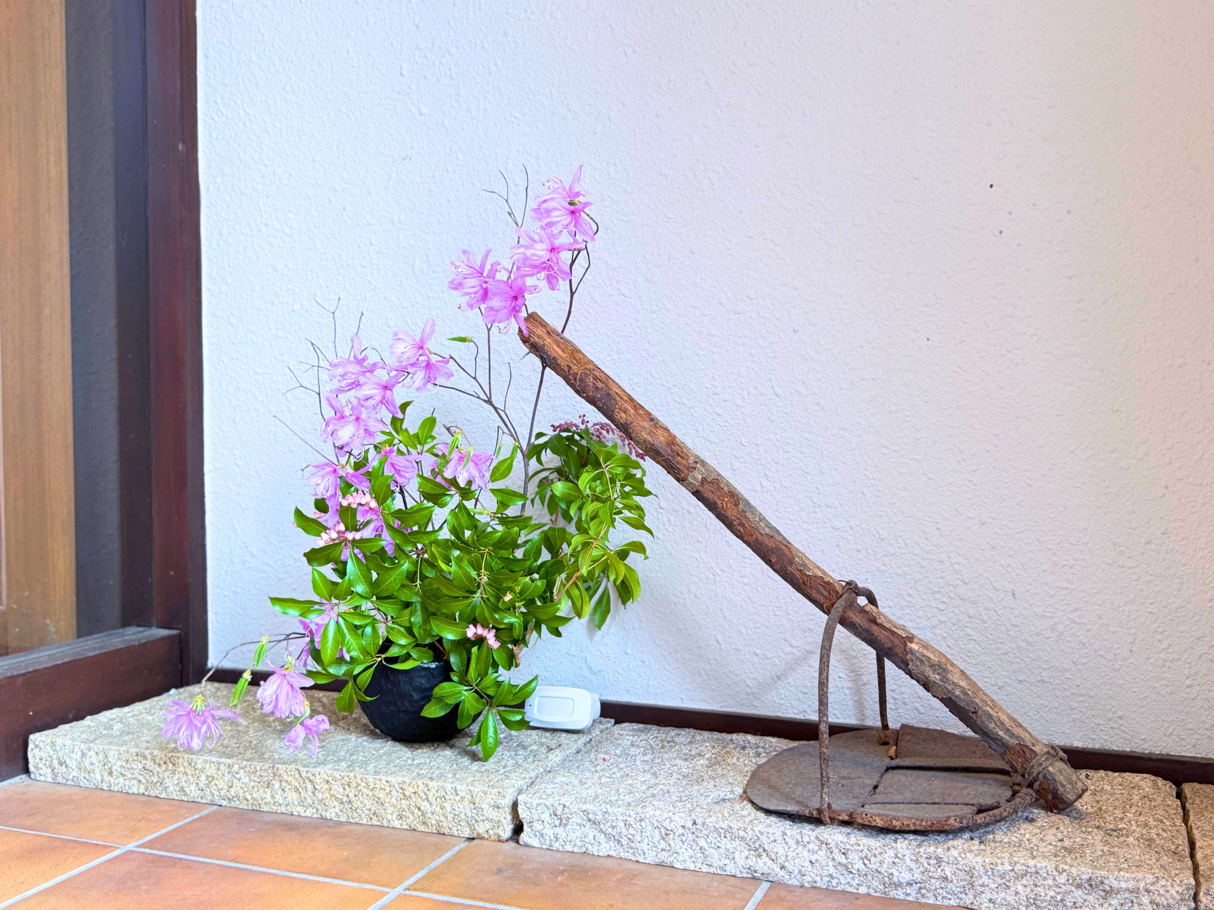 季節のお花