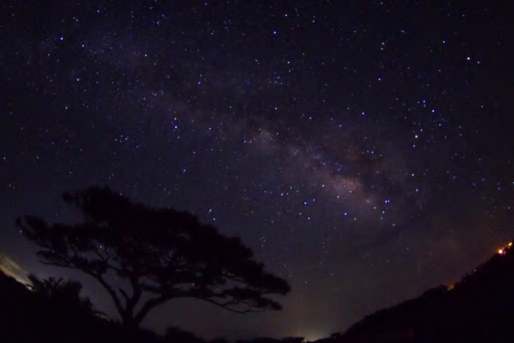 星がいっぱい小浜島の夜