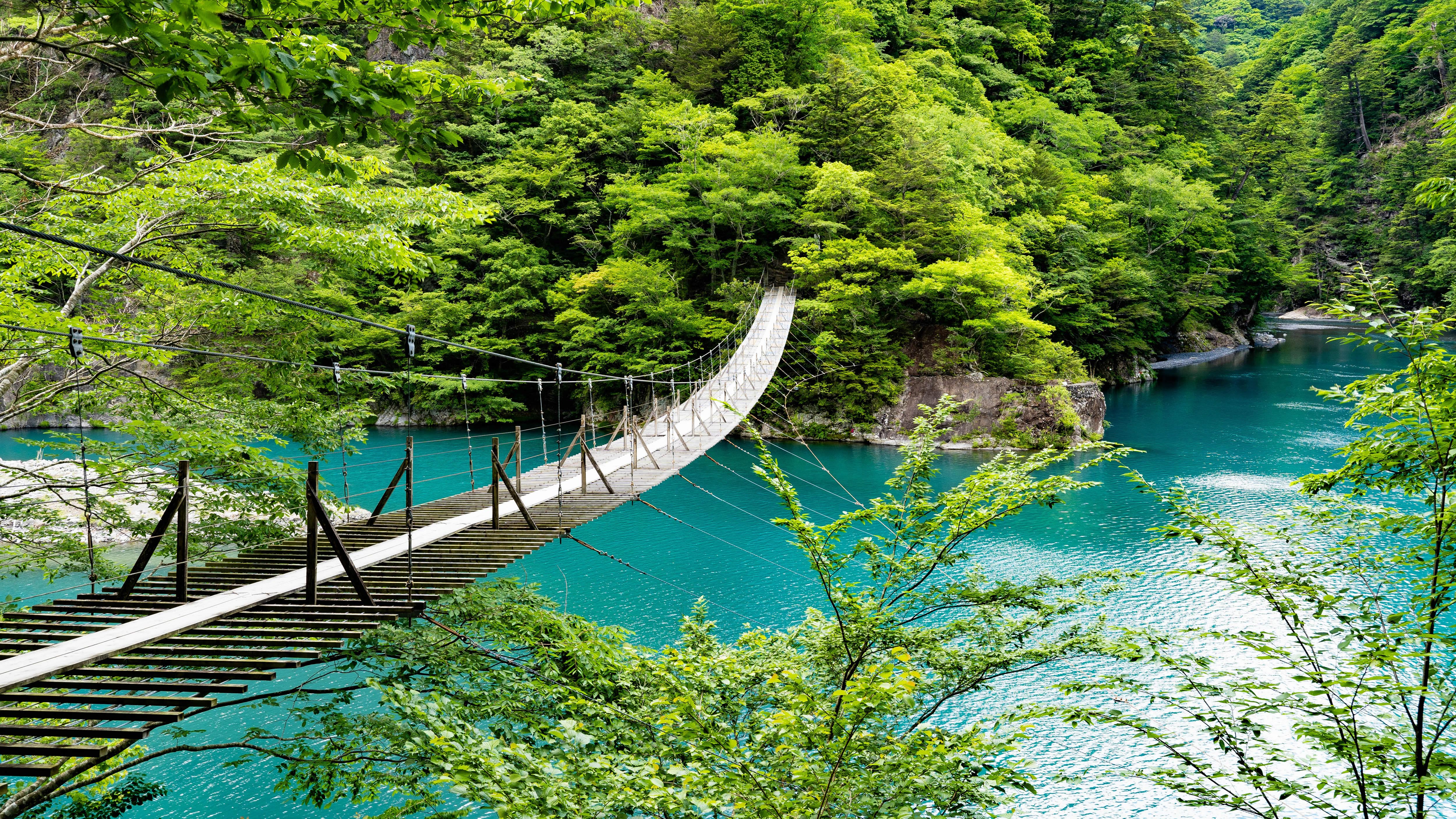 夢のつり橋