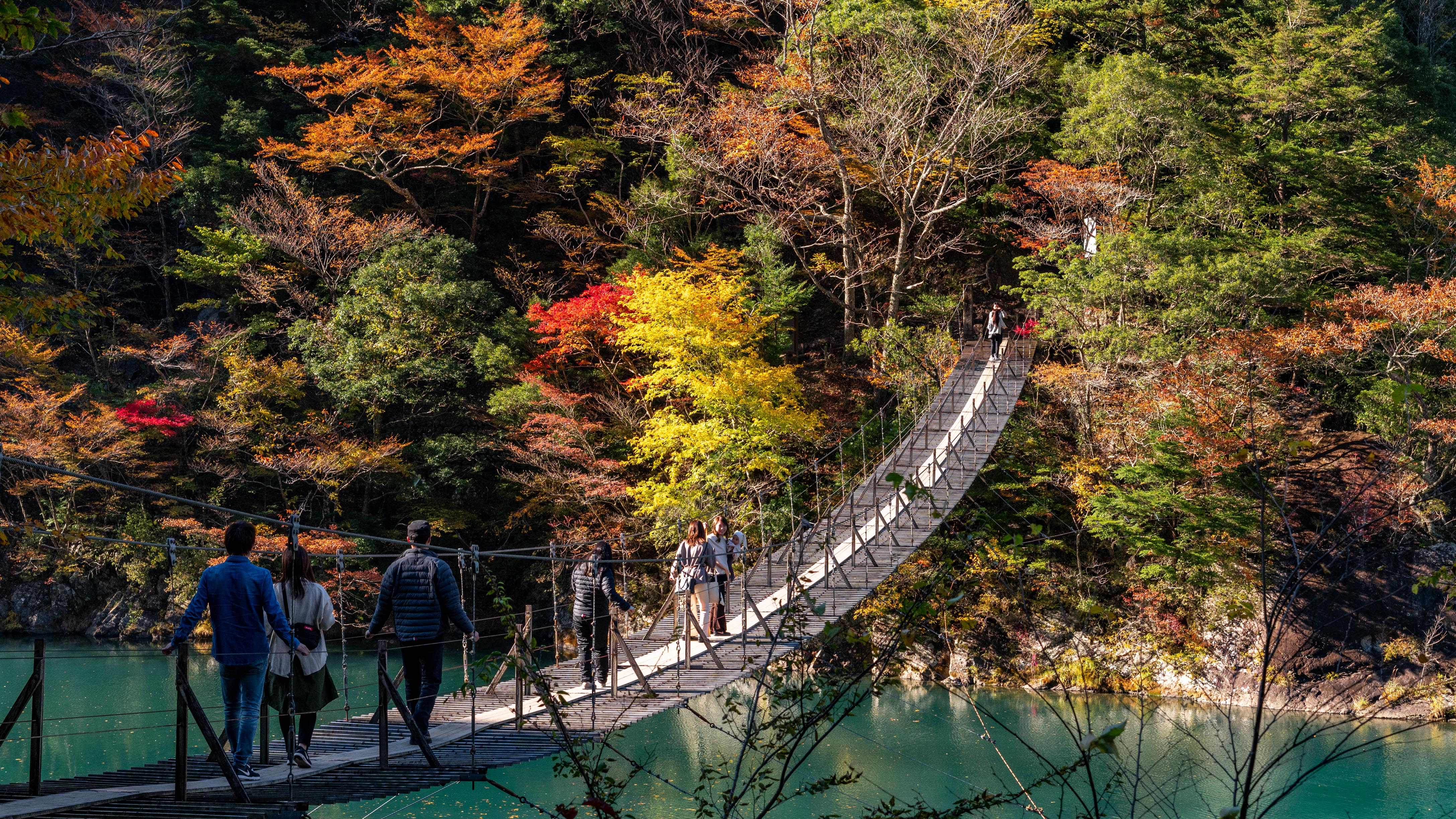 夢のつり橋
