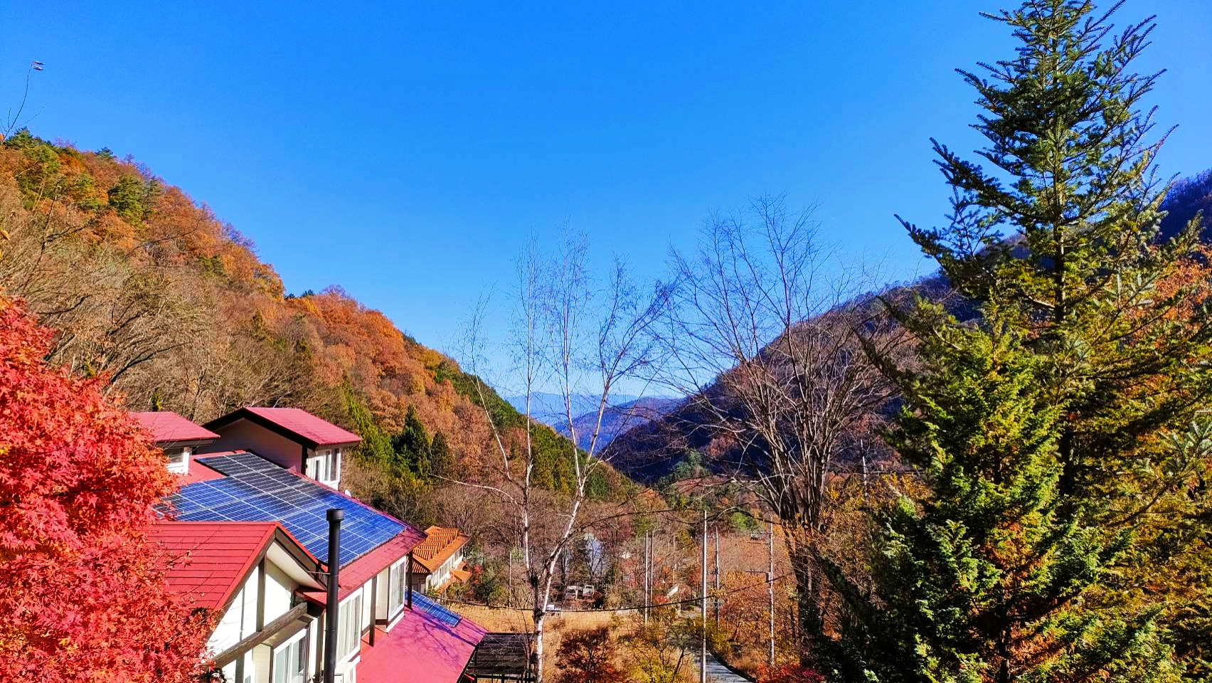ある客室からの景色