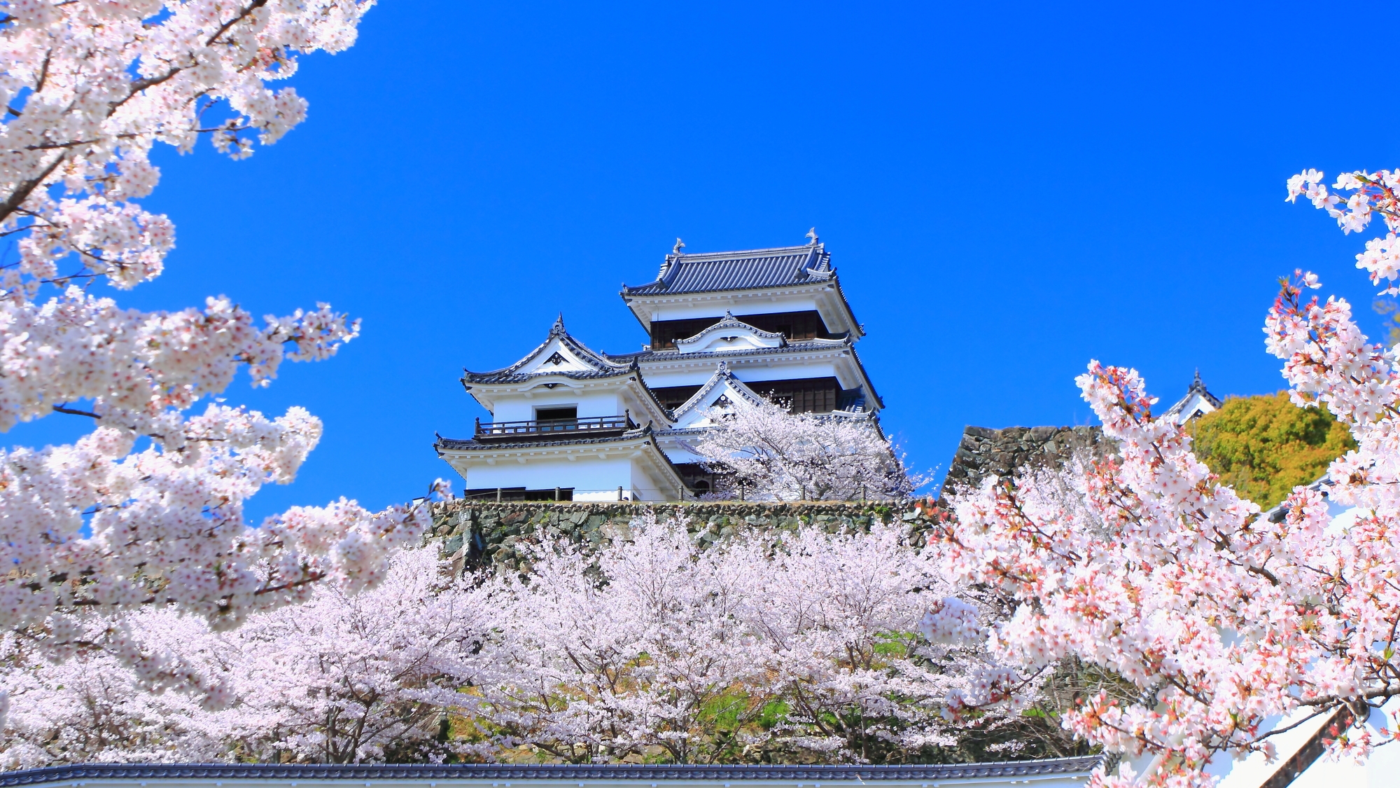 【当館から車で10分】復元された天守が美しい、歴史とロマンを感じられる「大洲城」