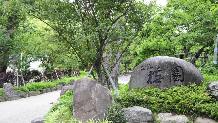 *数十種類の梅が咲く梅園は熱海を代表するスポット。6月にはホタル、秋はもみじライトアップも。