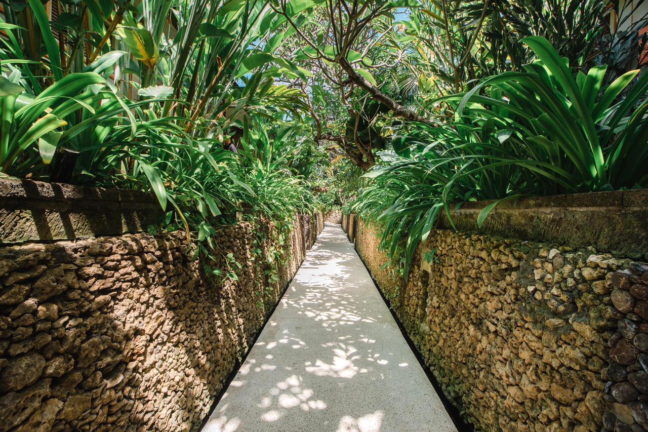 トロピカルガーデン