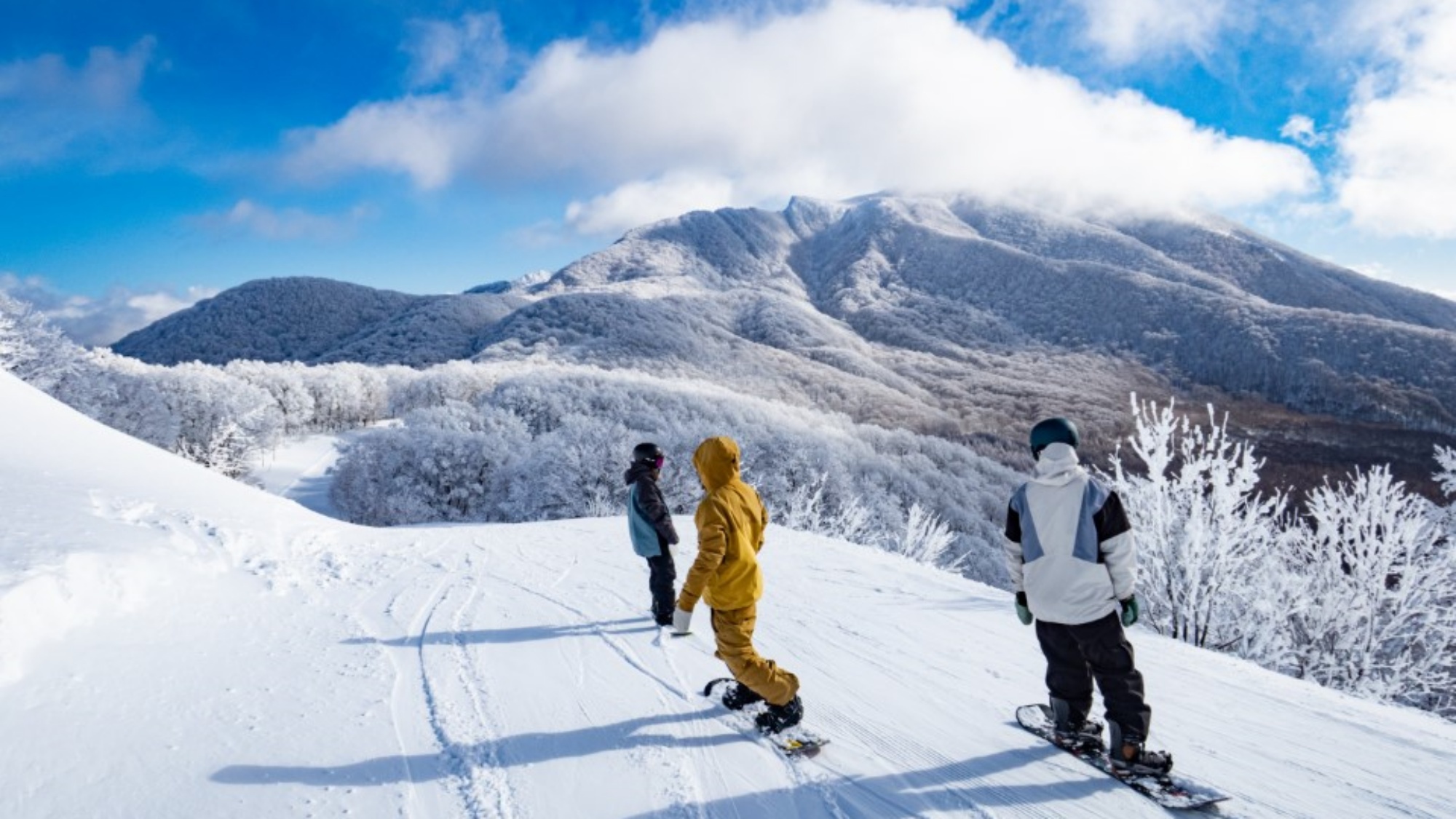 【朝食テイクアウト】早朝出発で新雪のゲレンデに！アーリーチェックアウトのショートステイ＜素泊り＞