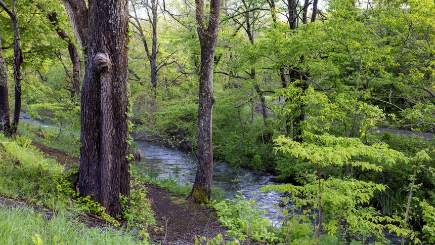 【小学生以下半額】1周年記念ファミリースペシャル／オールインクルーシブで楽しむ裏磐梯
