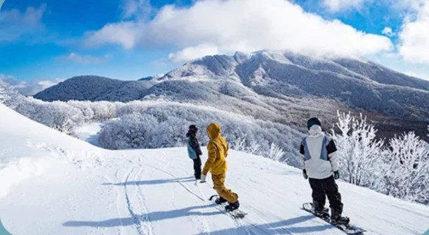 【ネコママウンテン】1日リフト券付／朝食付きスキー＆スノボパック＜ラウンジアクセス付＞
