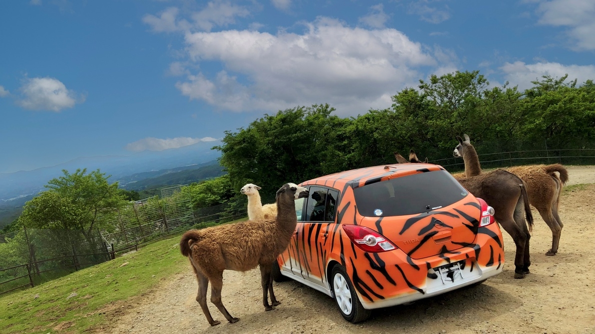野生の王国「東北サファリパーク」入園券付きファミリー宿泊プラン＜夕朝食・ラウンジアクセス付＞