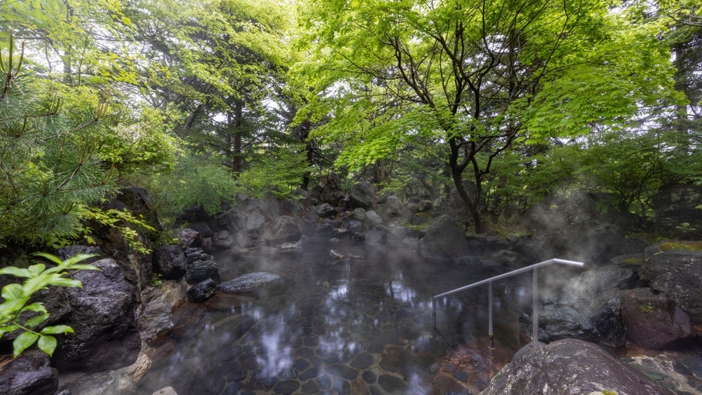 【楽天トラベルサマーSALE】磐梯山の自然に遊び 湯で心を解きほぐす森のリゾート／夕朝食ラウンジ付