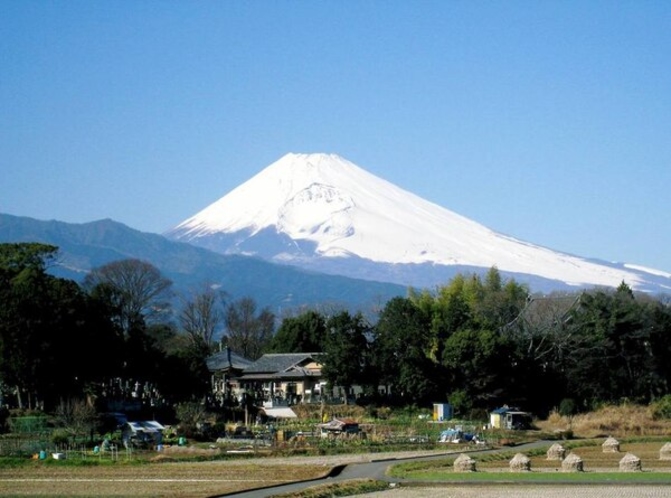 ホテル近くより真冬の富士山を望む