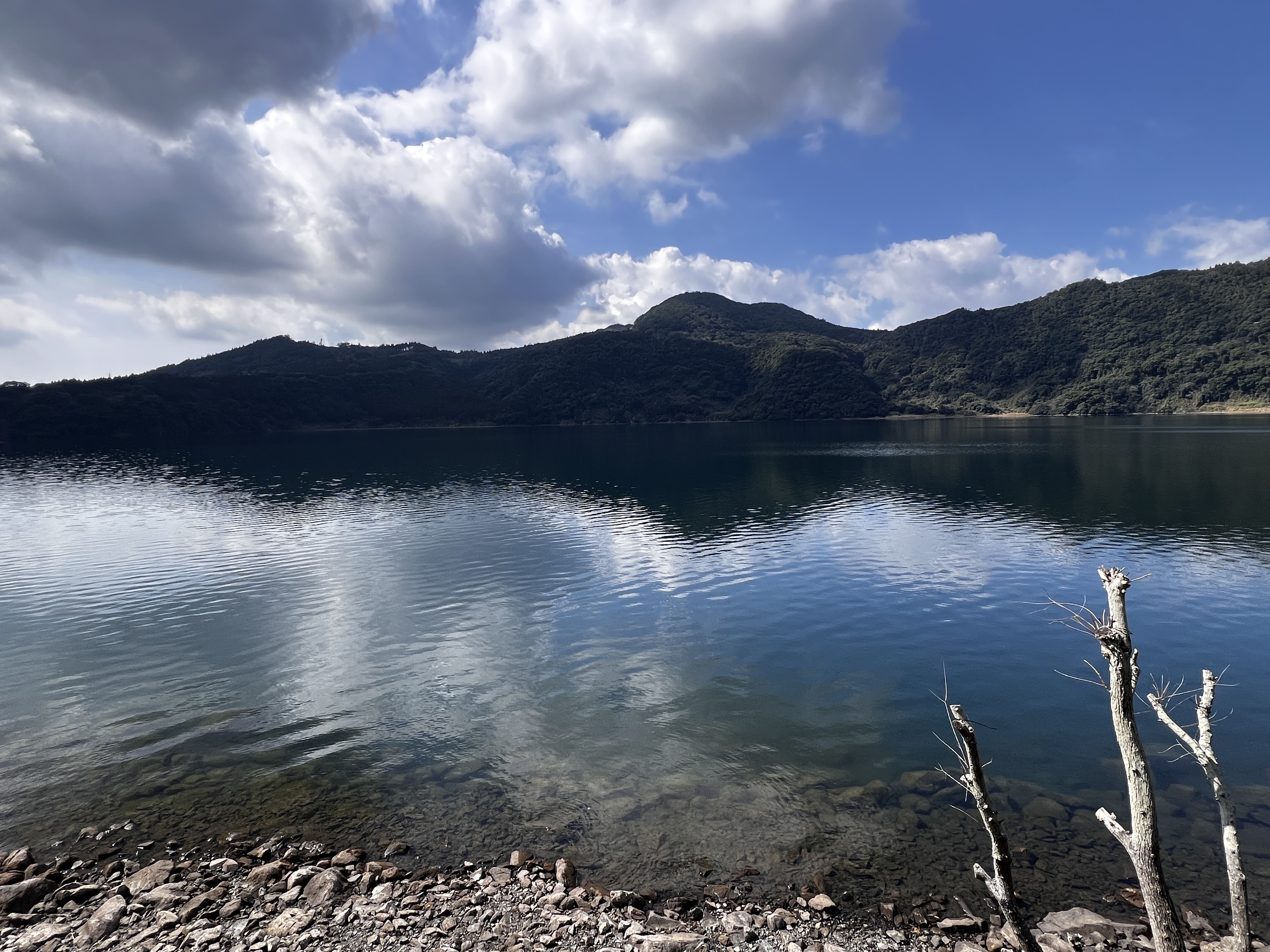 朝の鰻池の景色