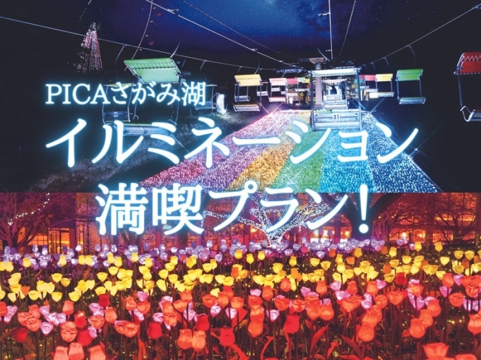 夕食なし！フリーパスつき！イルミネーション満喫プラン！