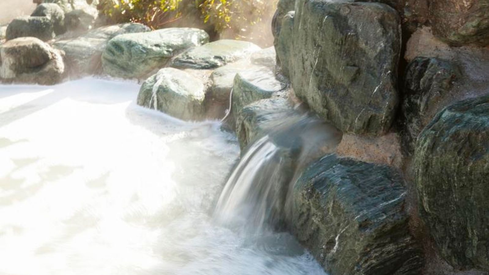 【期間限定】さがみ湖温泉うるり入り放題！（宿泊、朝食、うるり温泉入り放題券、遊園地入園2日分）
