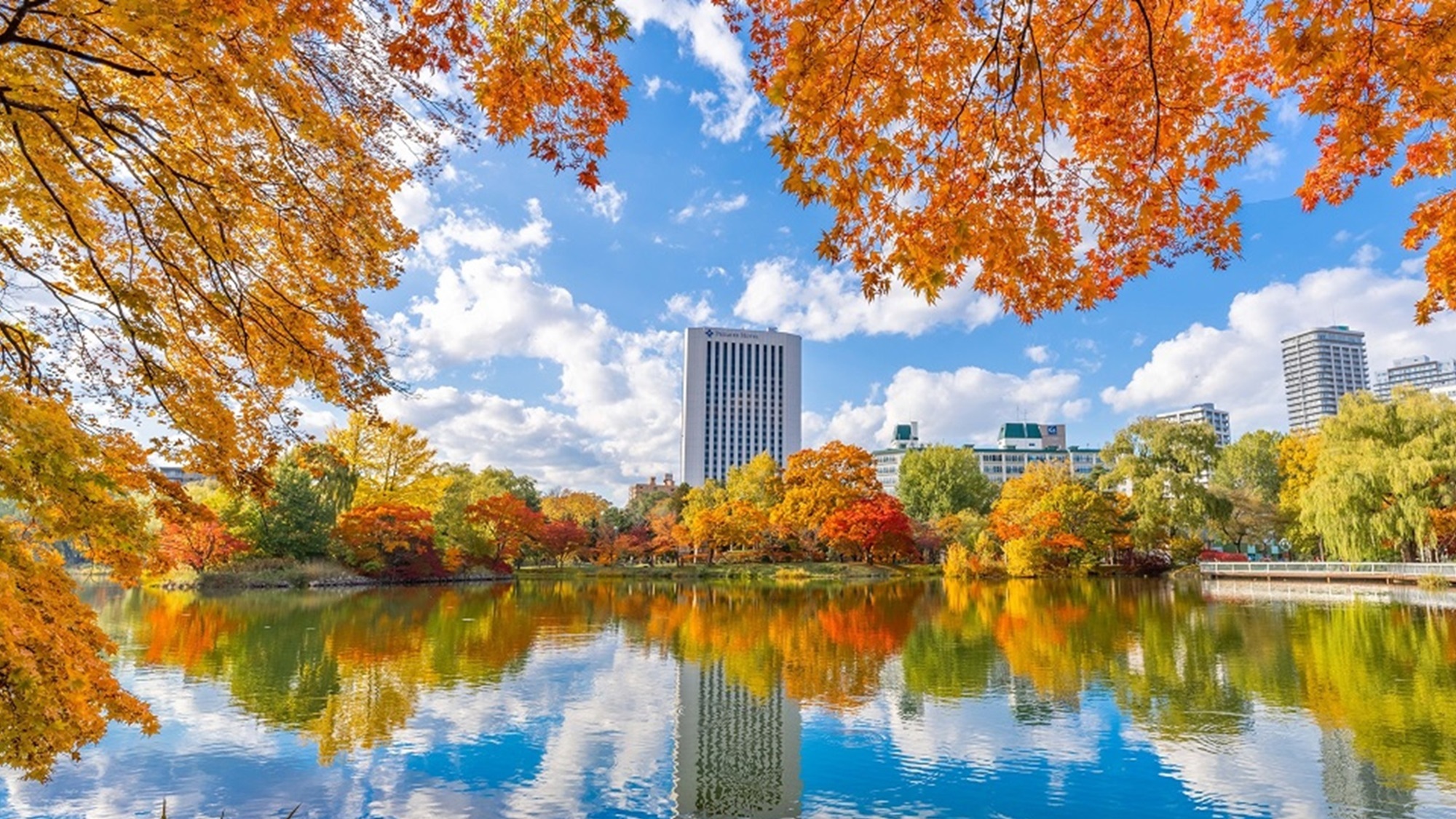 中島公園