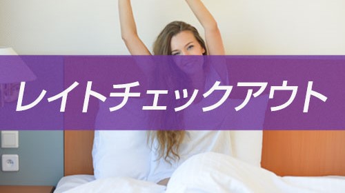 【レイトチェックアウト】翌12時まで滞在OK！レイトチェックアウトプラン〇朝食付き【ECOプロ】