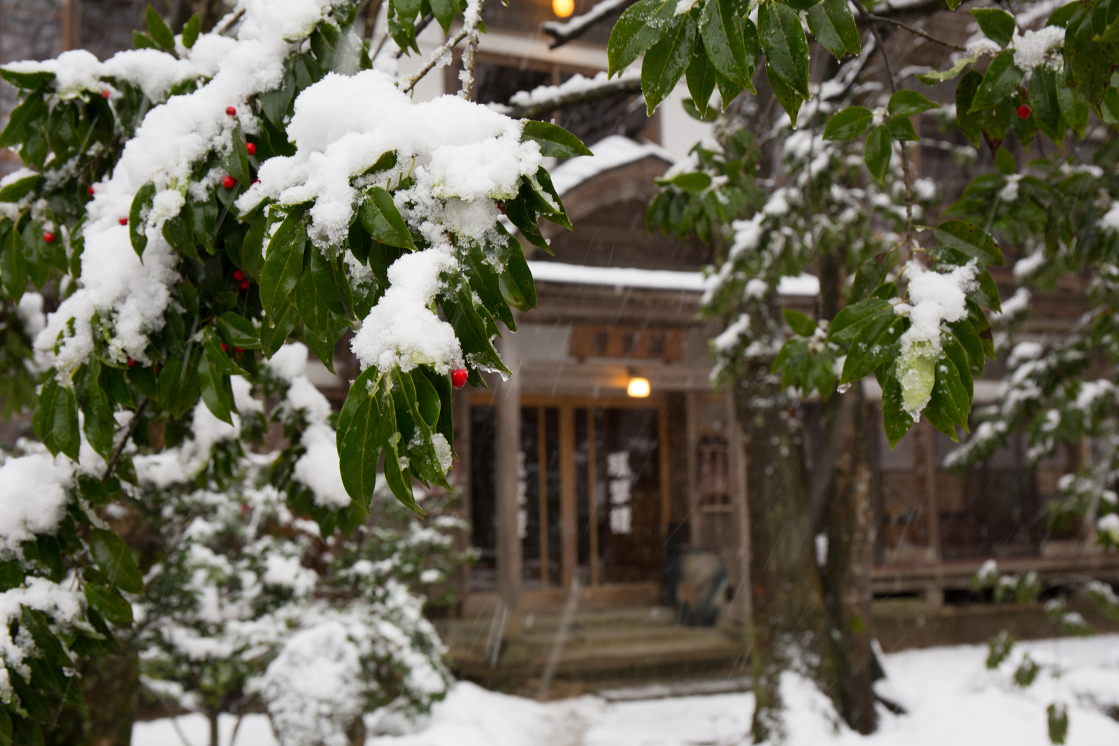 雪景色