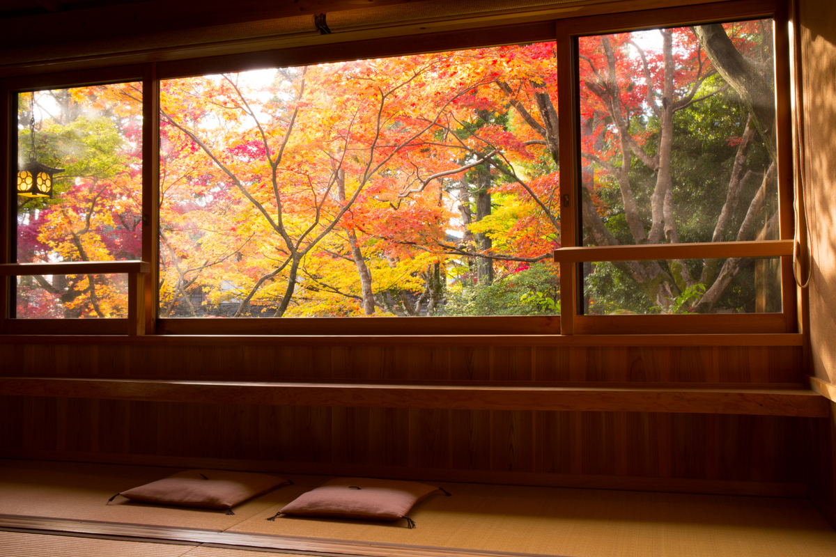 お部屋から望む紅葉