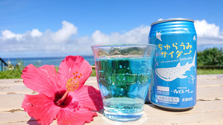 夏だ！沖縄観光スポットで大人気の美ら海水族館チケット付き宿泊プラン♪【素泊り】