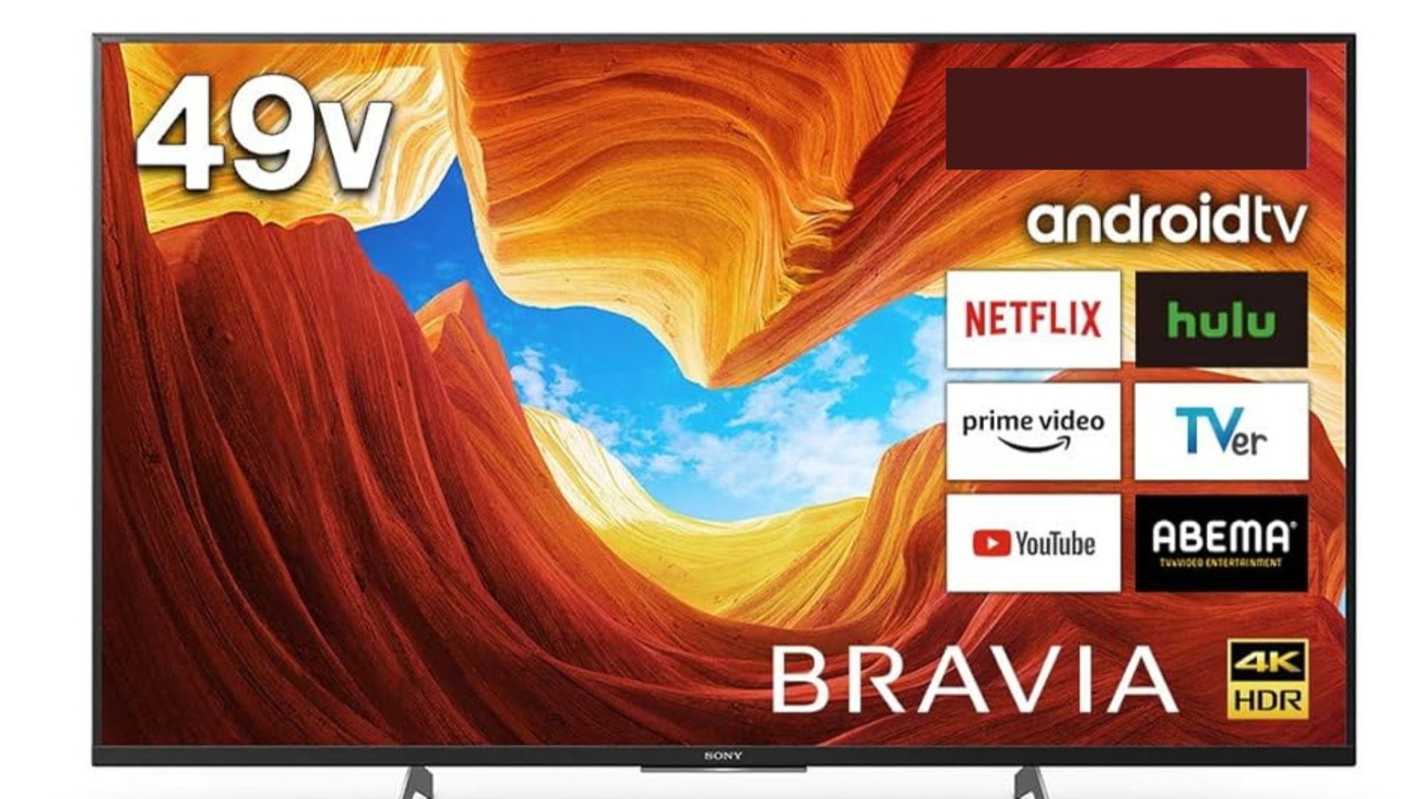 ツインルーム（SONY（49型）スマートTV）