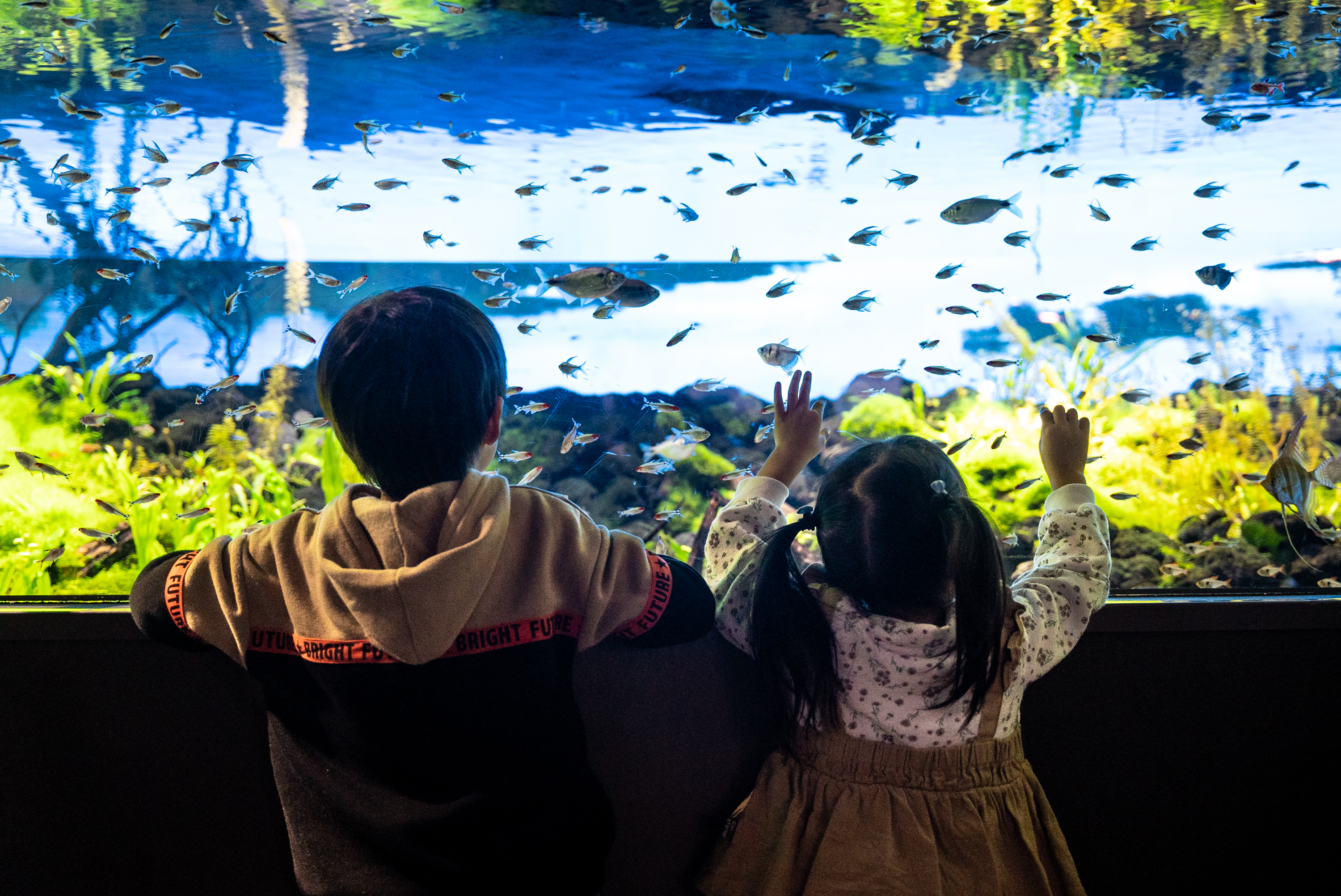 カワスイ 川崎水族館