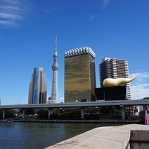 【アサヒビールビルとスカイツリー】