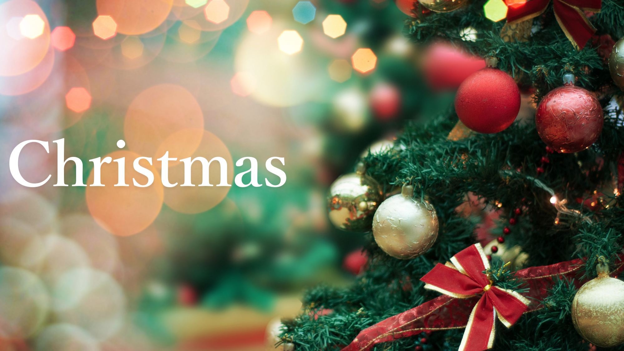 ＜新棟＞【オーベルジュで過ごすクリスマス】＜3大特典付＞フルーツ・シャンパン・ミニツリーで冬旅を演出