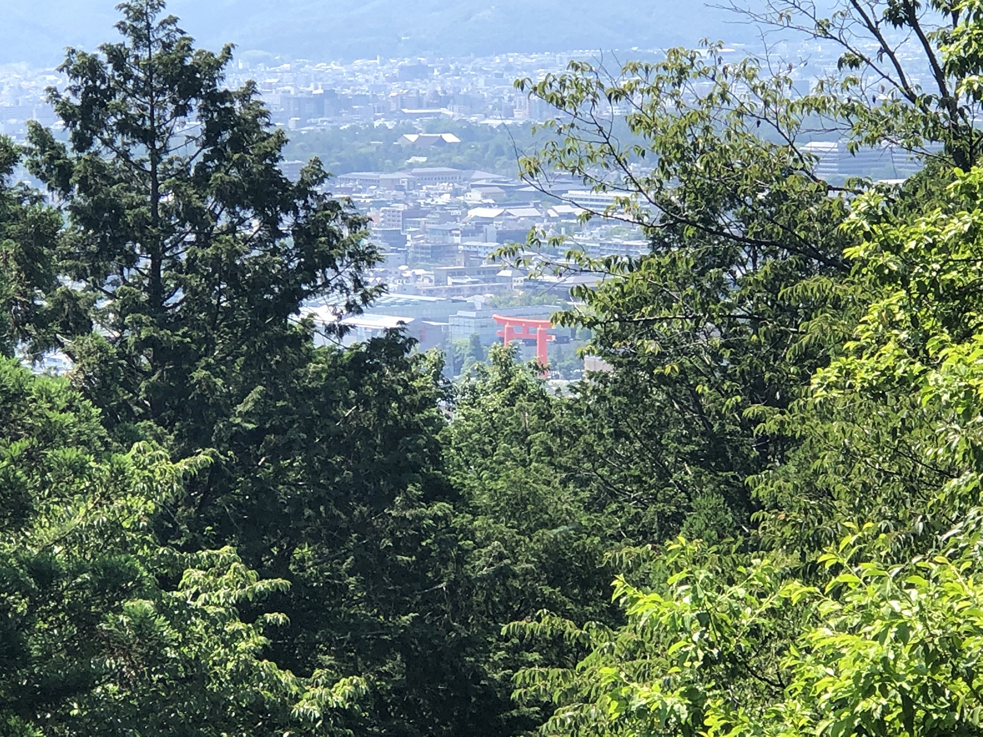 日向神社頂上からの平安神宮