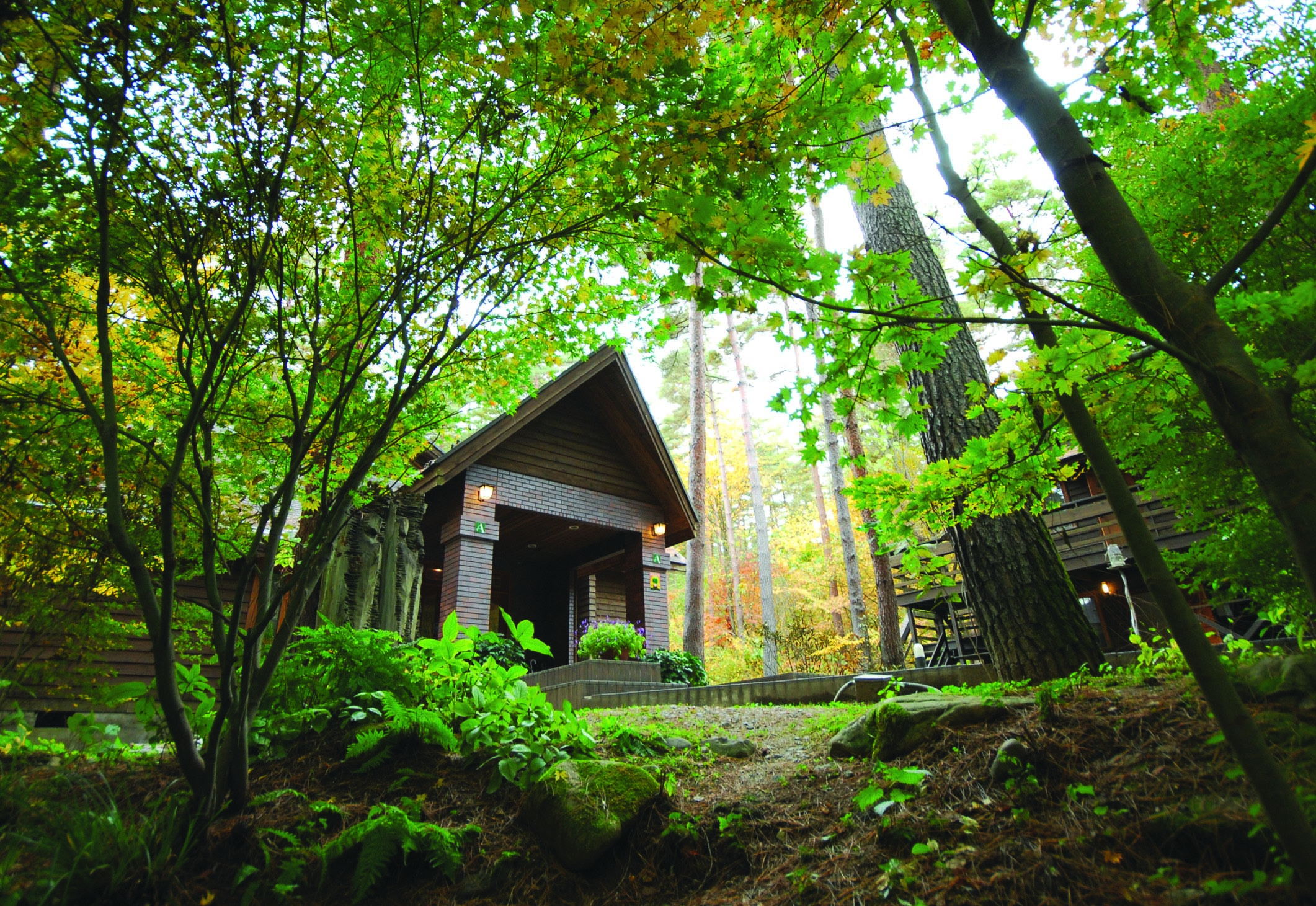 絵本美術館が同じ敷地内に。