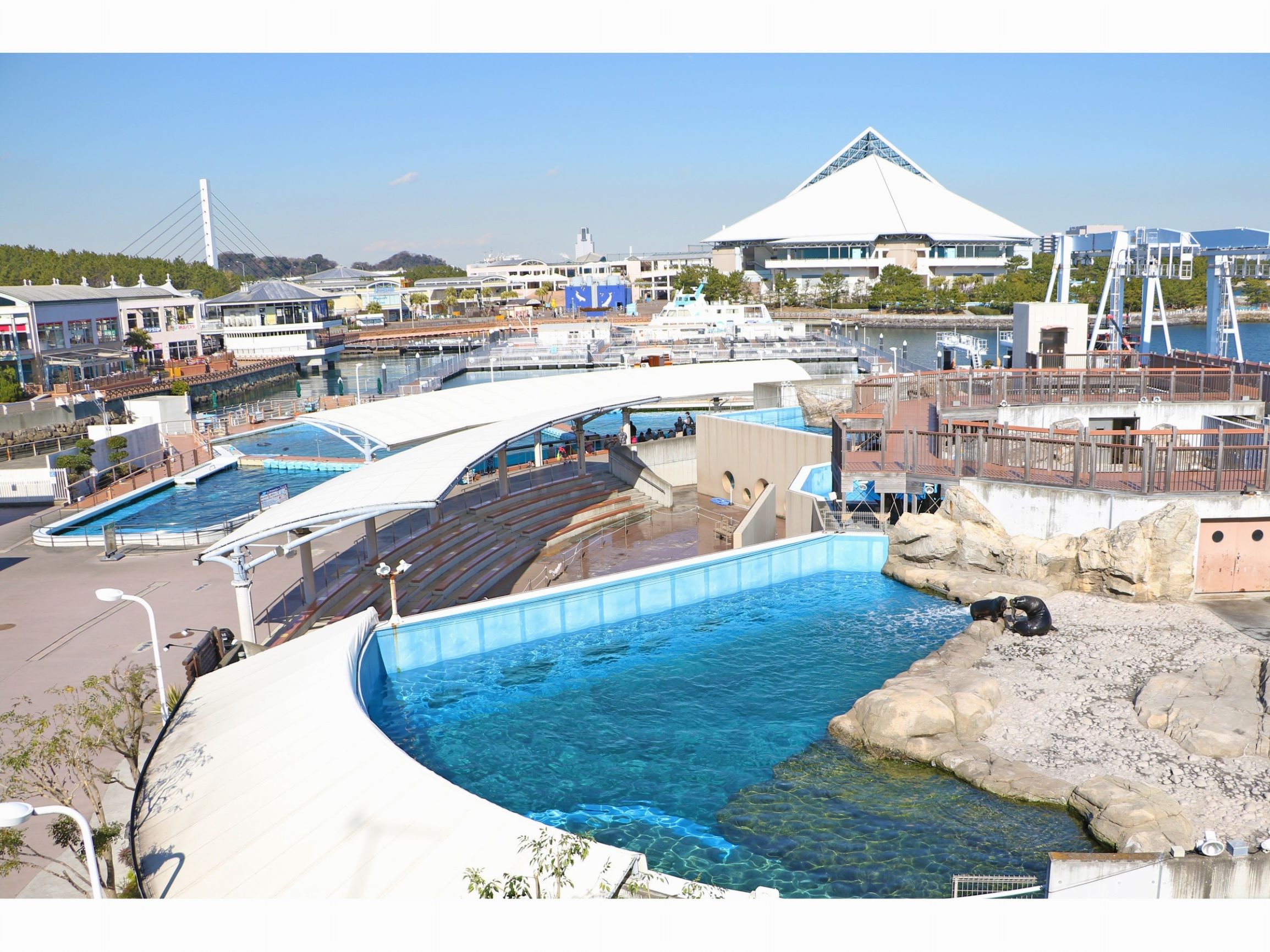 H1iugjrqwbplam H1iugjrqwbplam