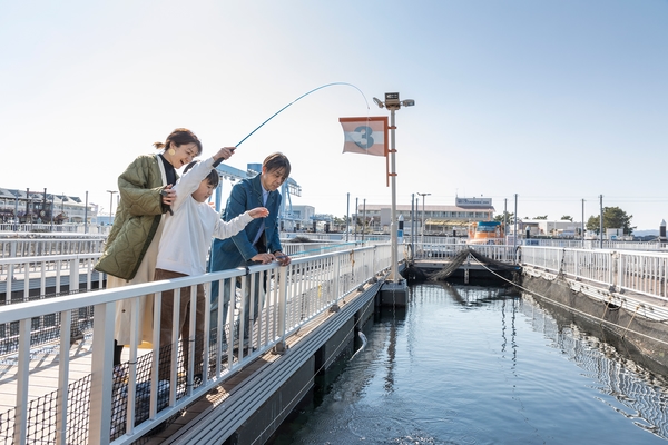 ホテル シーパラダイス イン 宿泊予約 楽天トラベル ホテル シーパラダイス イン 宿泊予約 楽天トラベル