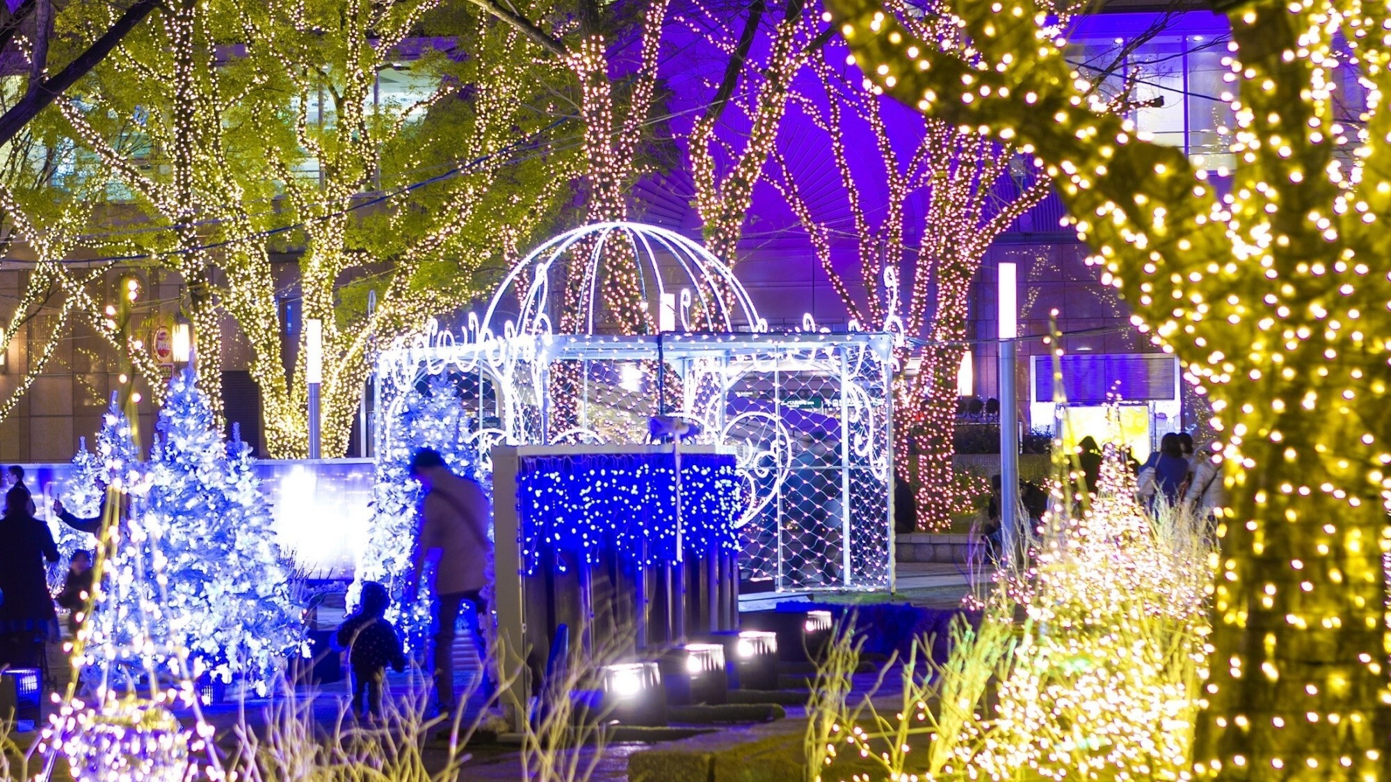 周辺観光/【警固公園（冬）】緑が多く池もあり毎年12月中旬はイルミネーションが彩る